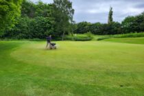 Ely City Golf Club switches to finer grass species