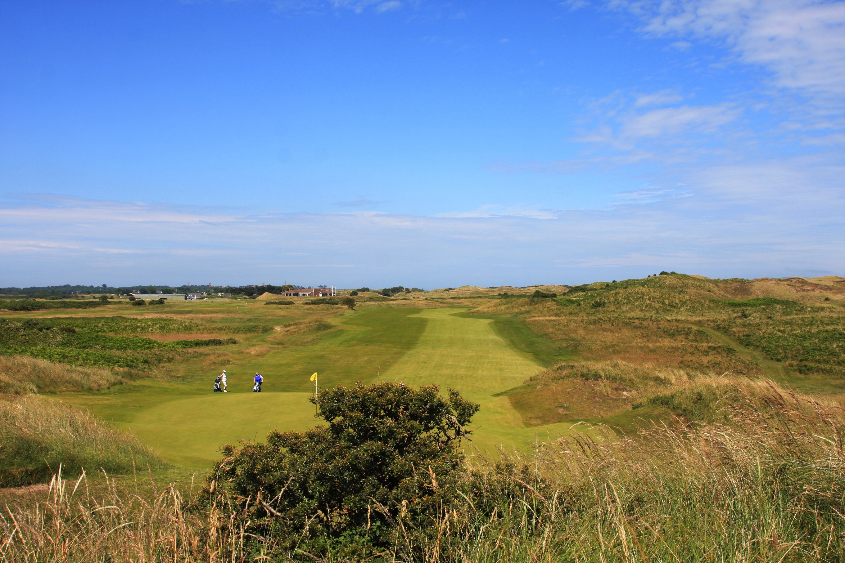 This is how Island GC’s ‘clumpy’ ryegrass was treated | GreenKeeping ...