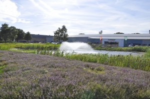 02-04 RJ National 186