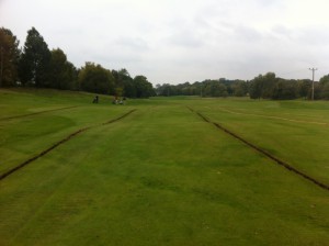 14-18 speedcut 3rd Fairway Undulations Castle Royle