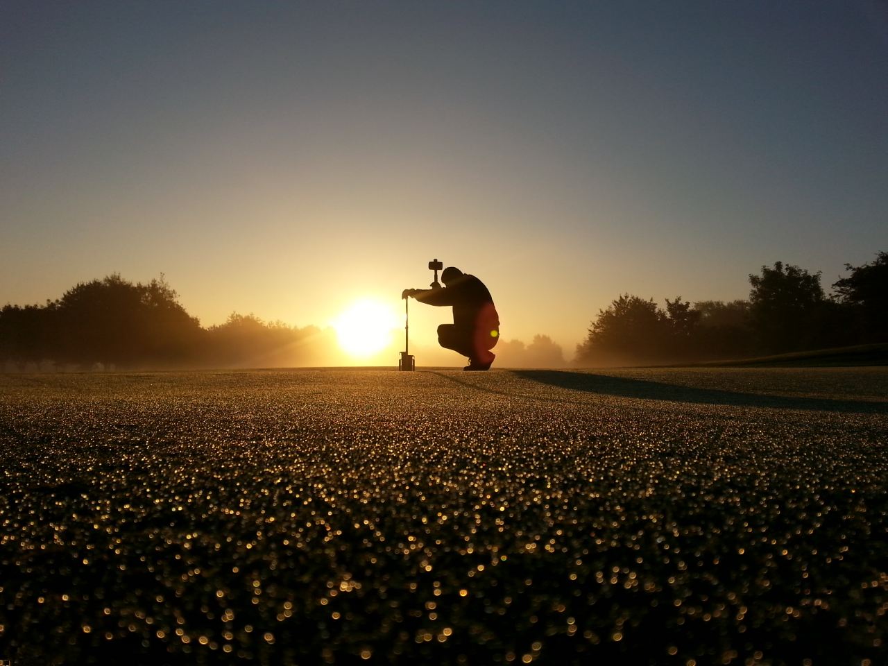 This smartphone picture wins greenkeeping prize