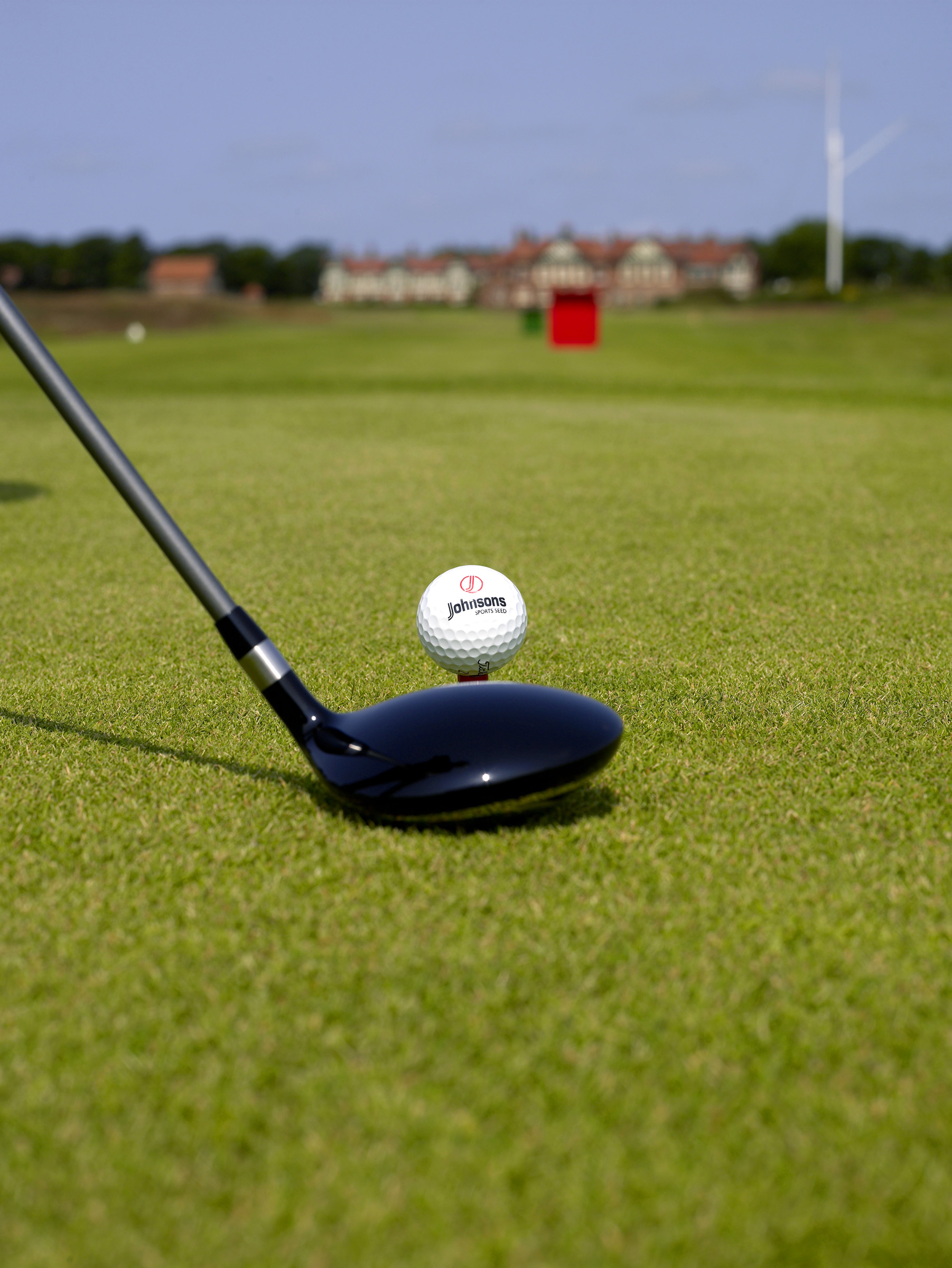 DLF launches chewings fescue cultivar Siskin at BTME