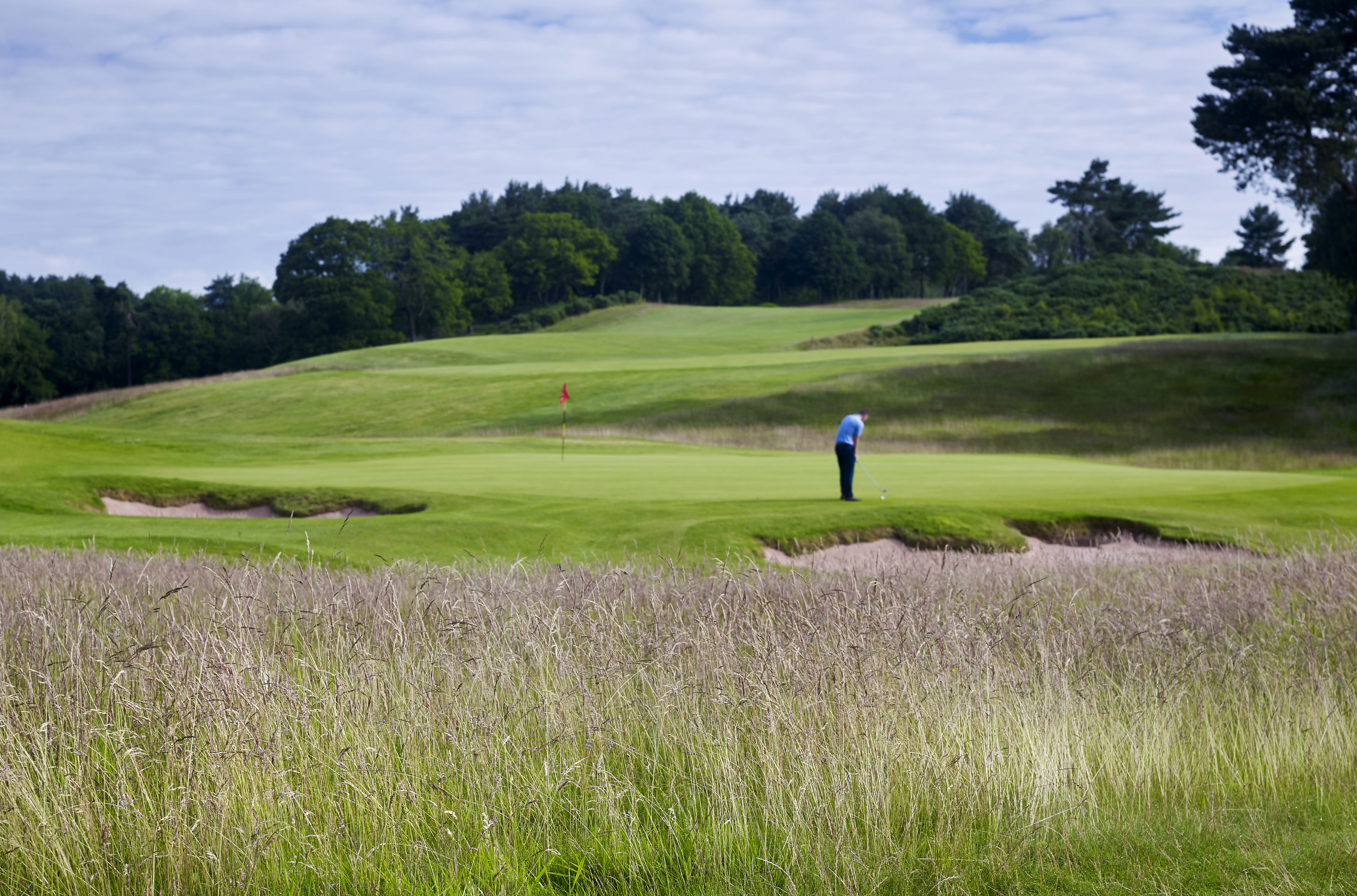 Germinal launches seed mixture to speed up pace of play