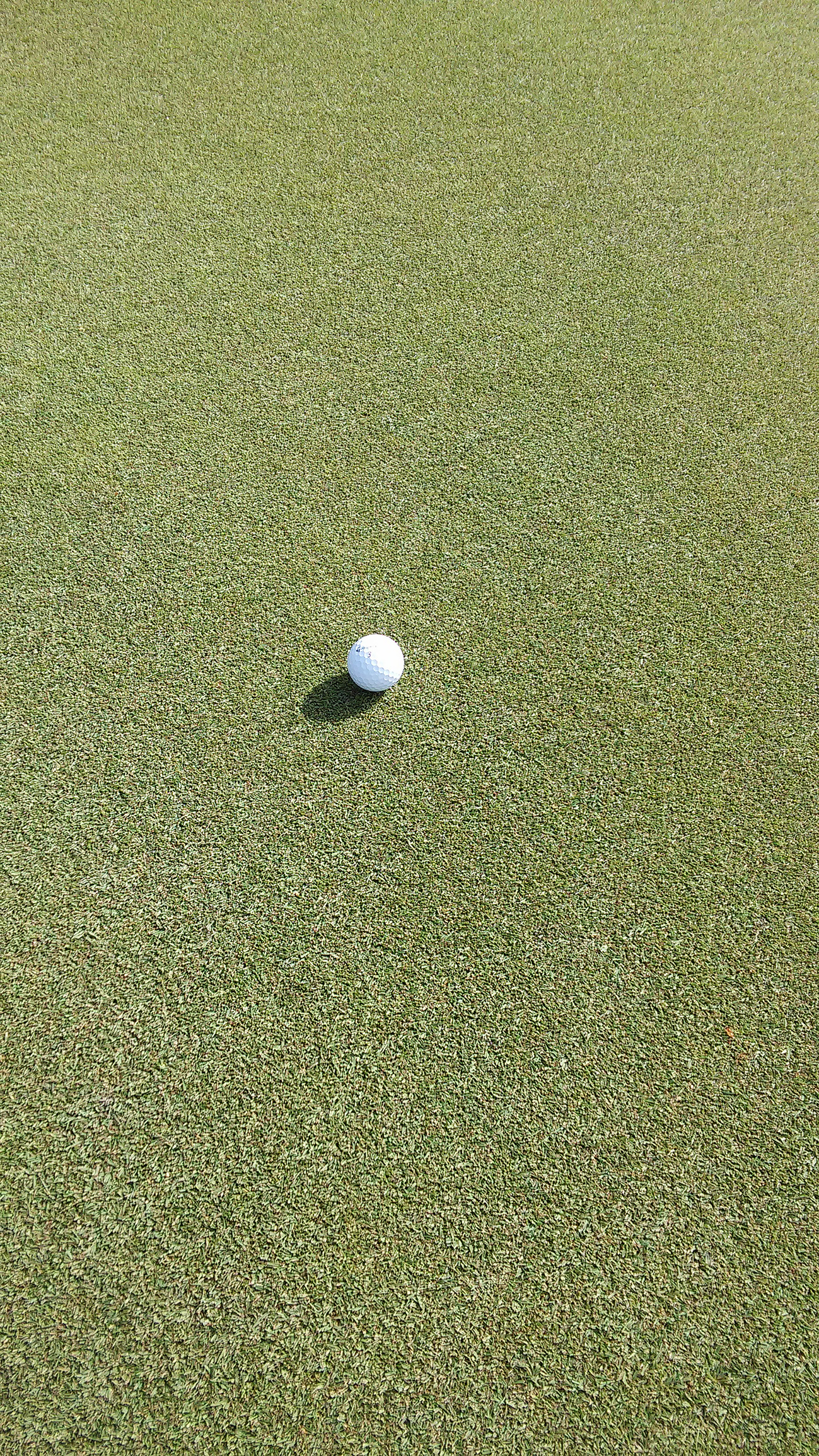 BTME: Germinal to showcase its latest seed mixture