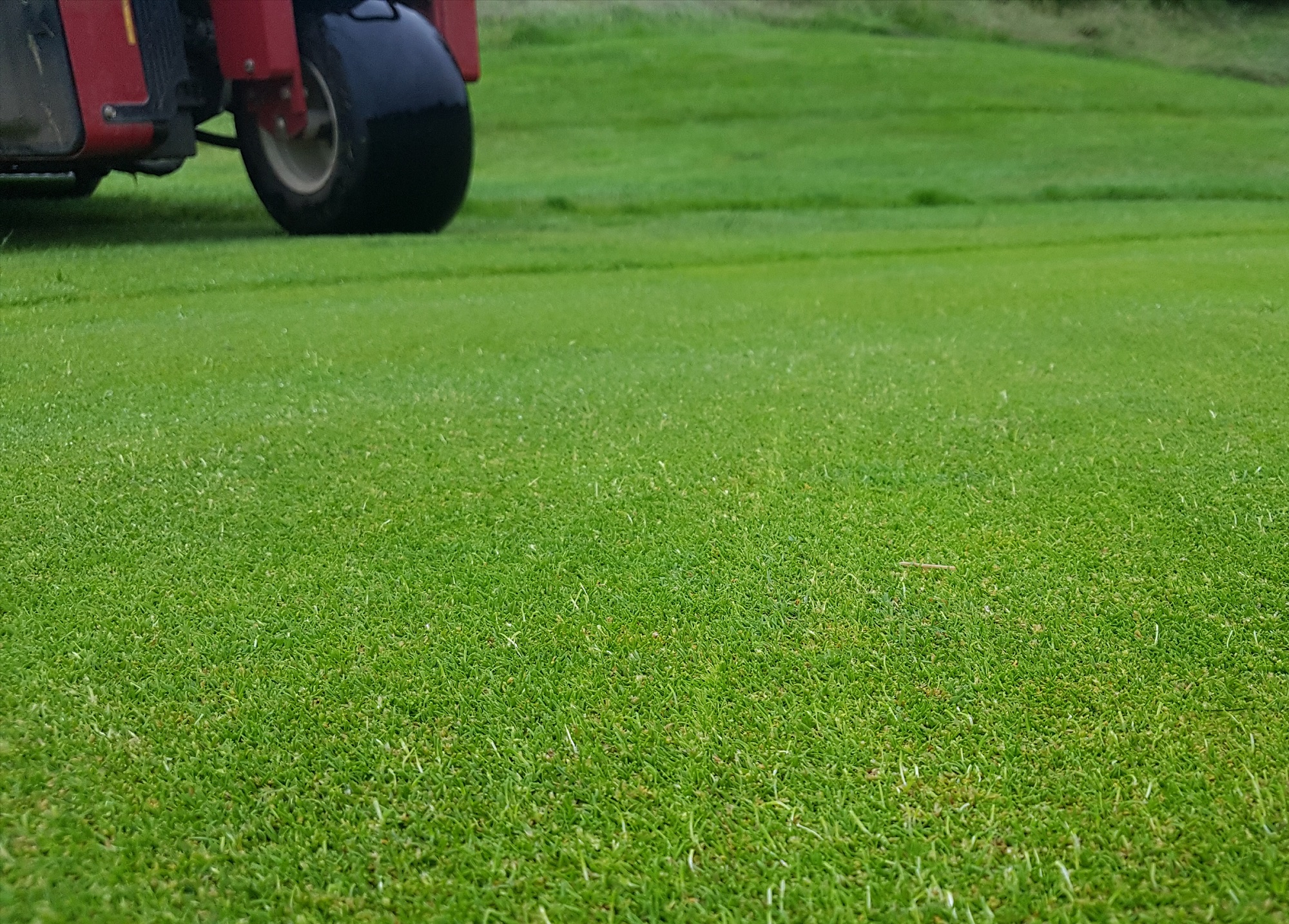 Waterton Park Golf Club succeeds with All Bent programme