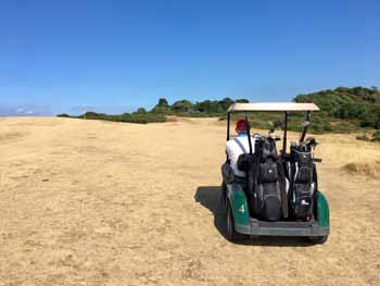 How to renovate your turf surfaces following the hot summer