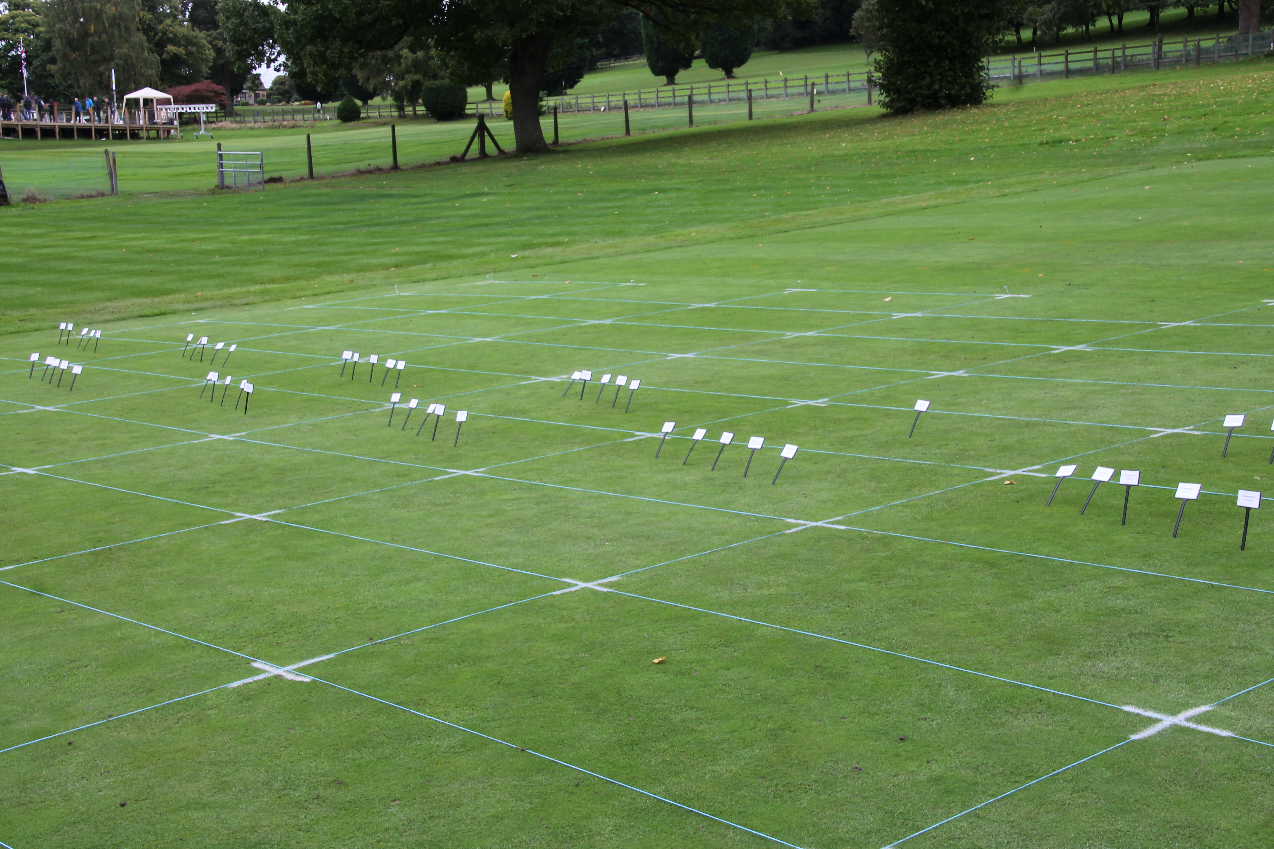 Preventative fungicide treatments excel in STRI research trials