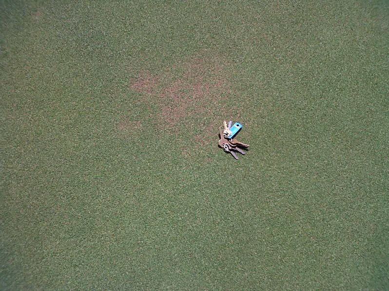 What can golf courses do to prevent disease this autumn?