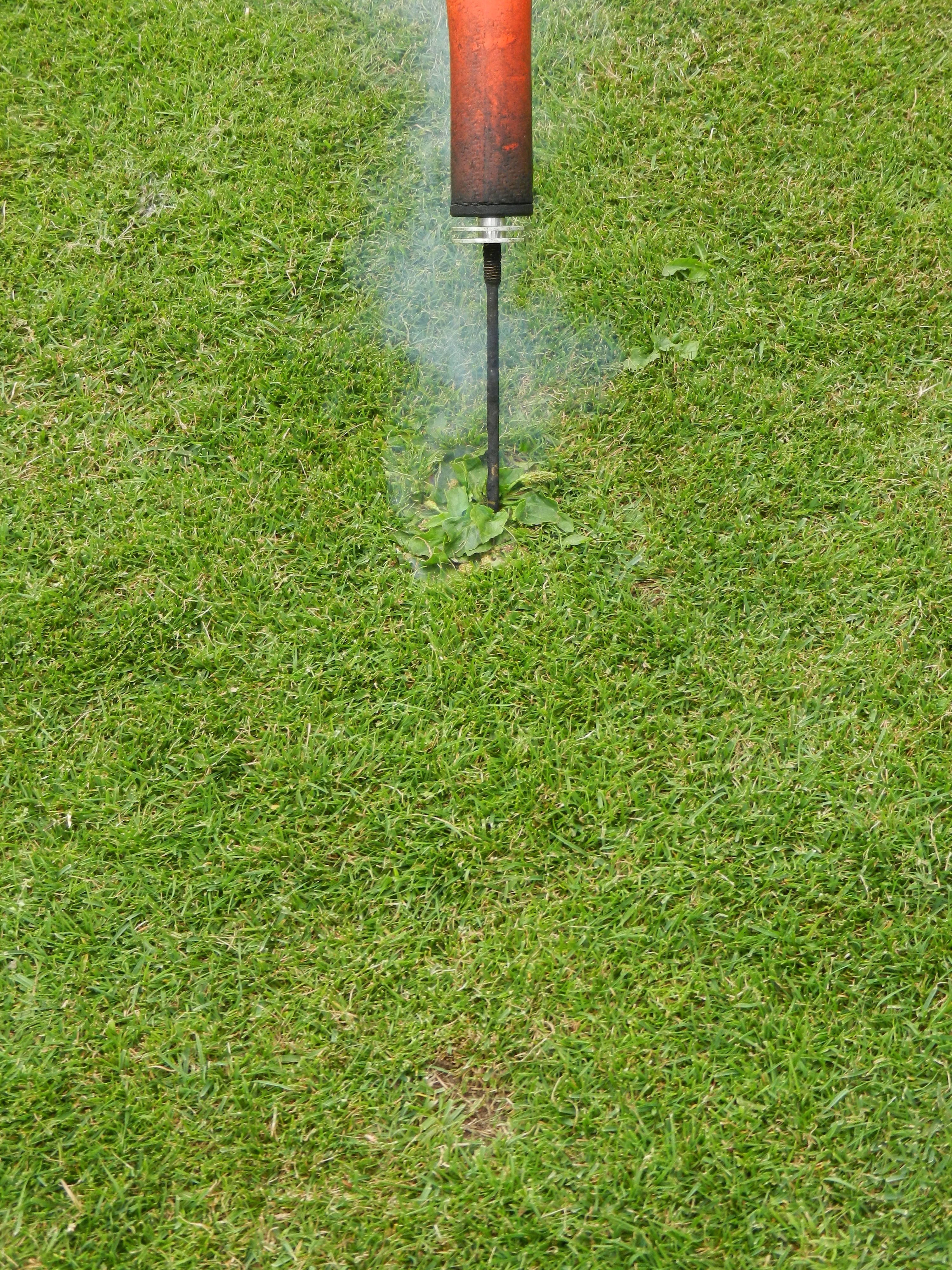 Rigby Taylor launched new products at SALTEX