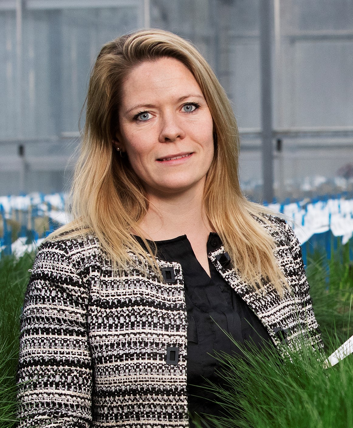 DLF is launching new quality programme and seed range for 2019