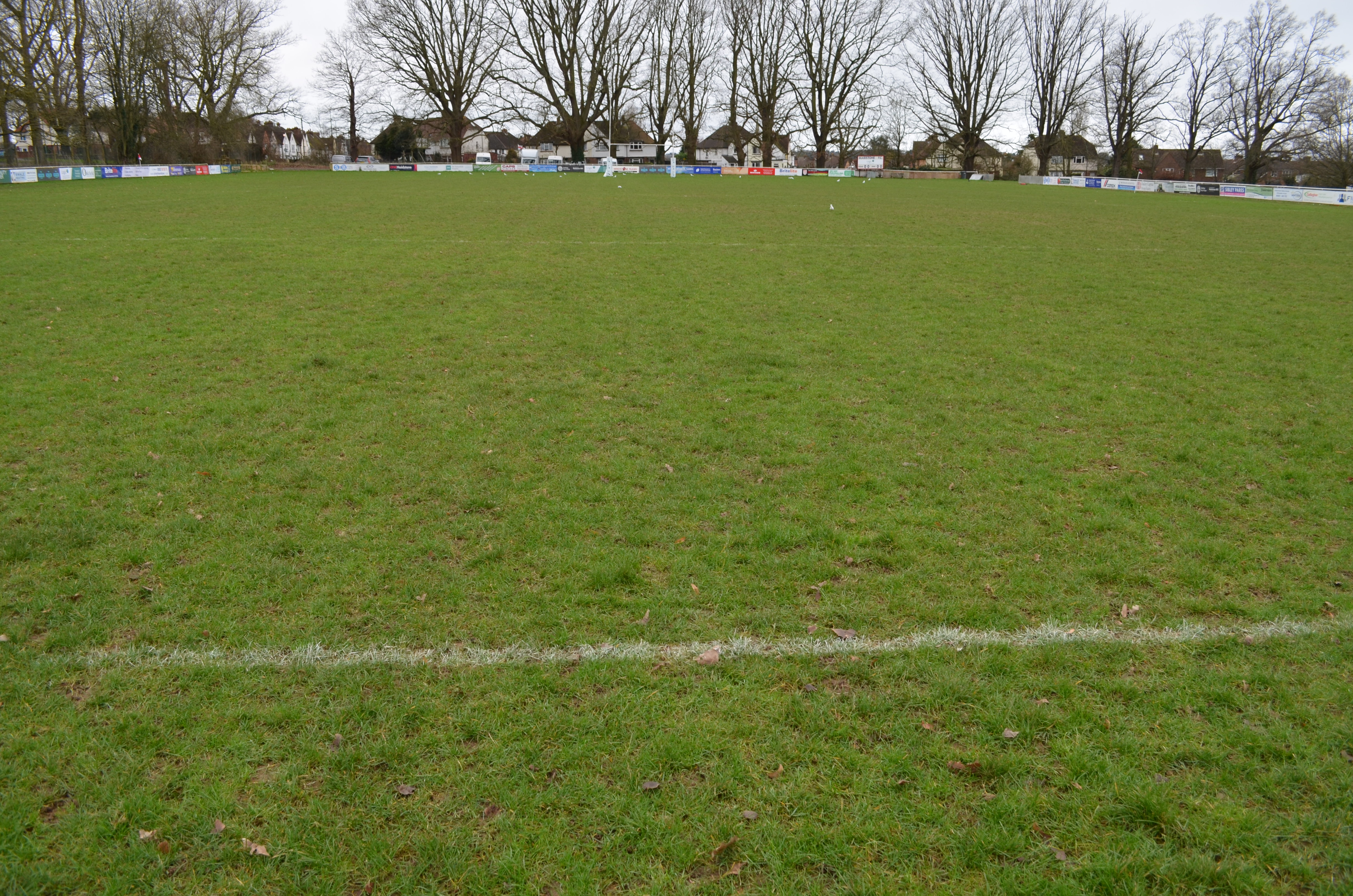 Do we aerate or apply fertiliser?