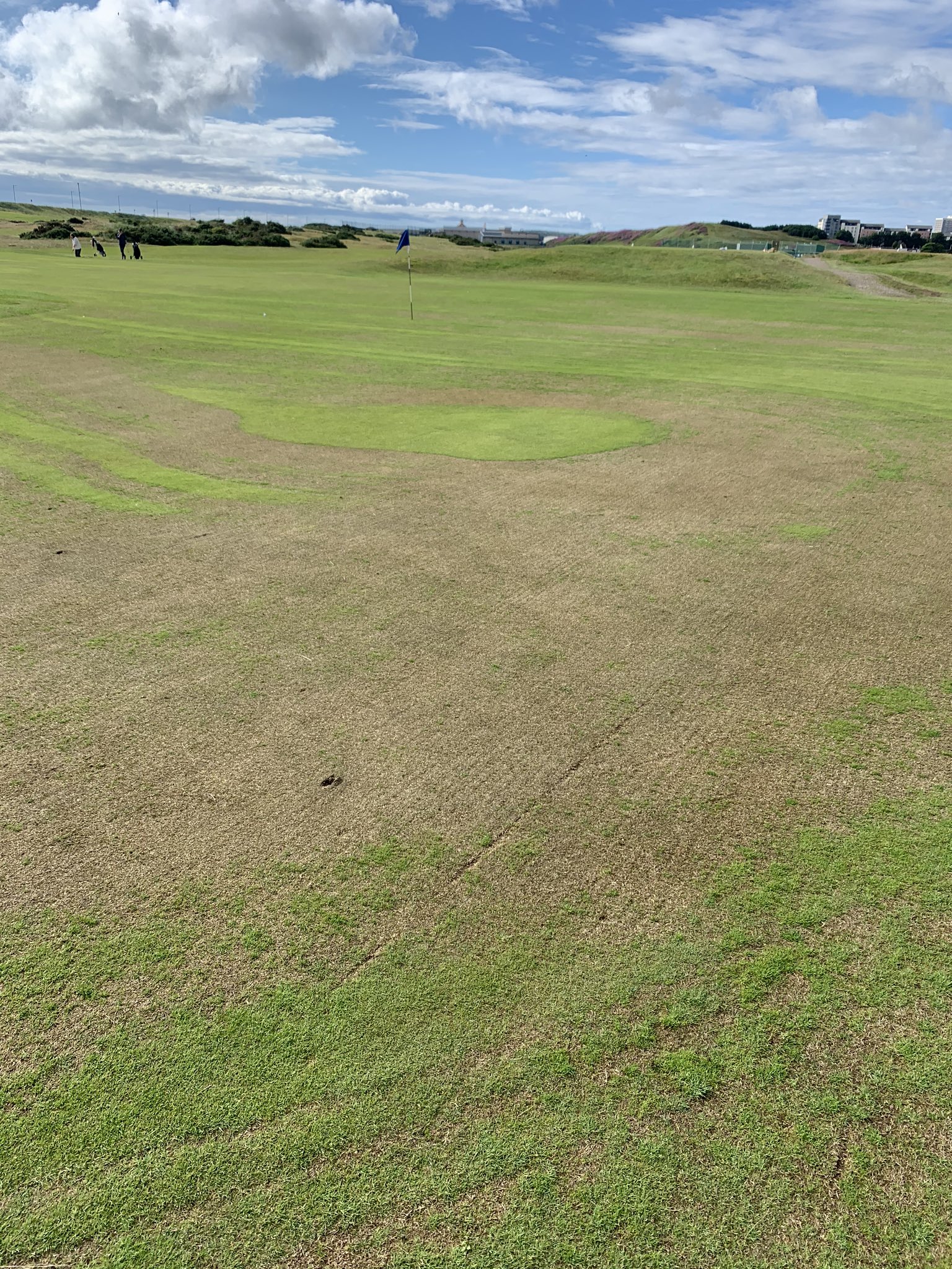 Golf course put on temporary greens after chemical applied ‘in error’