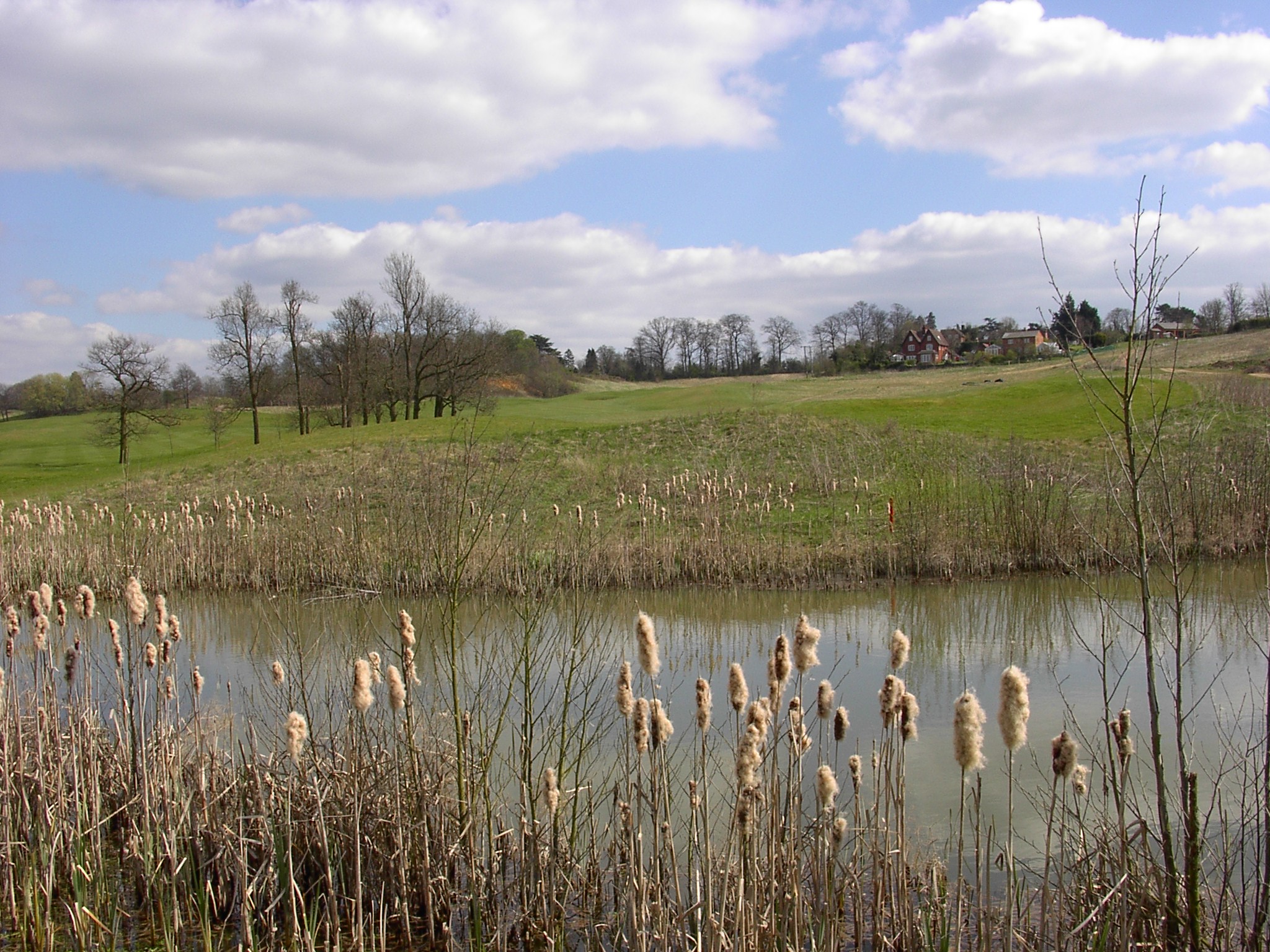 ‘Golf courses offer significant eco benefits’