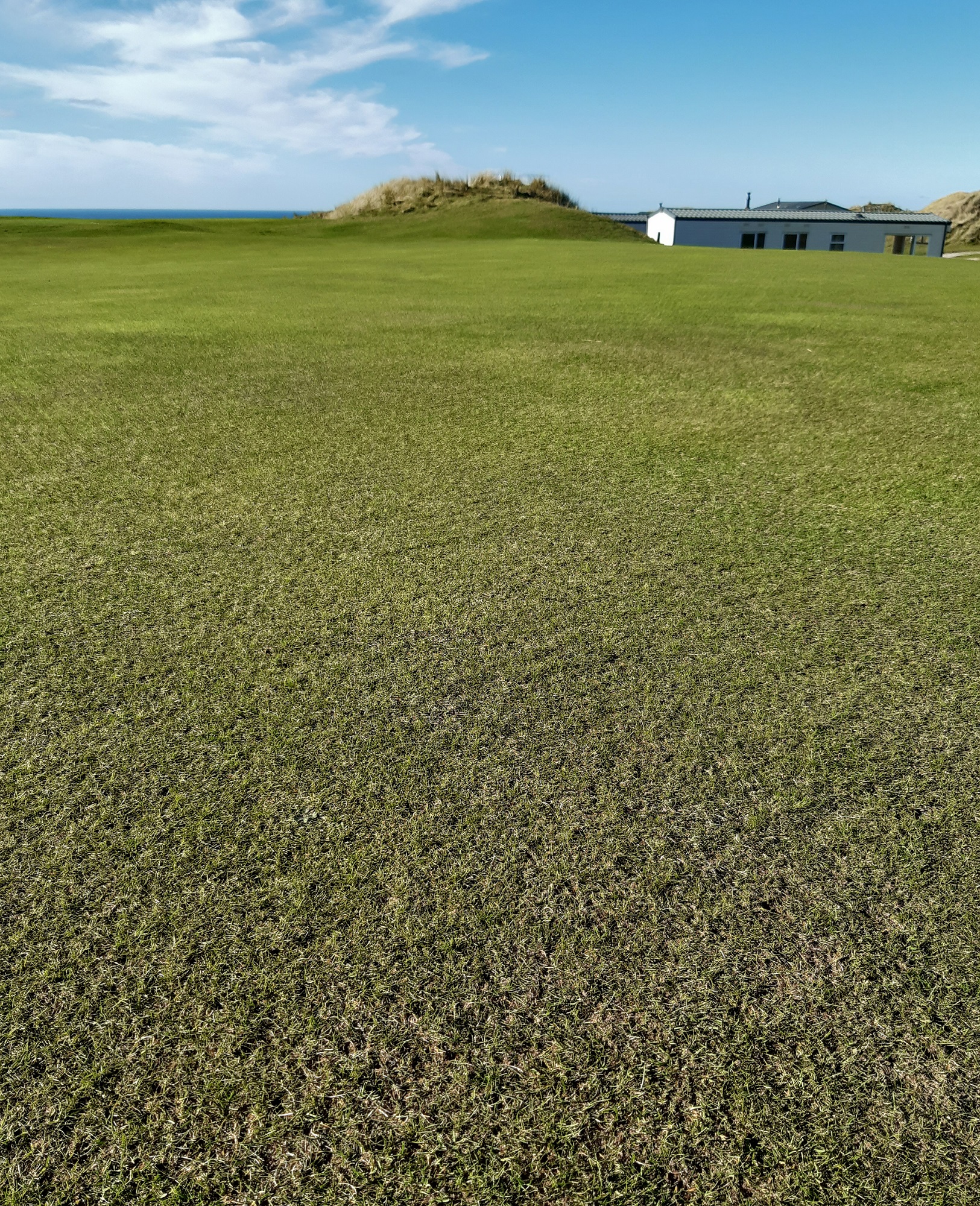 100% fescue delivers 100% satisfaction for Perranporth Golf Club