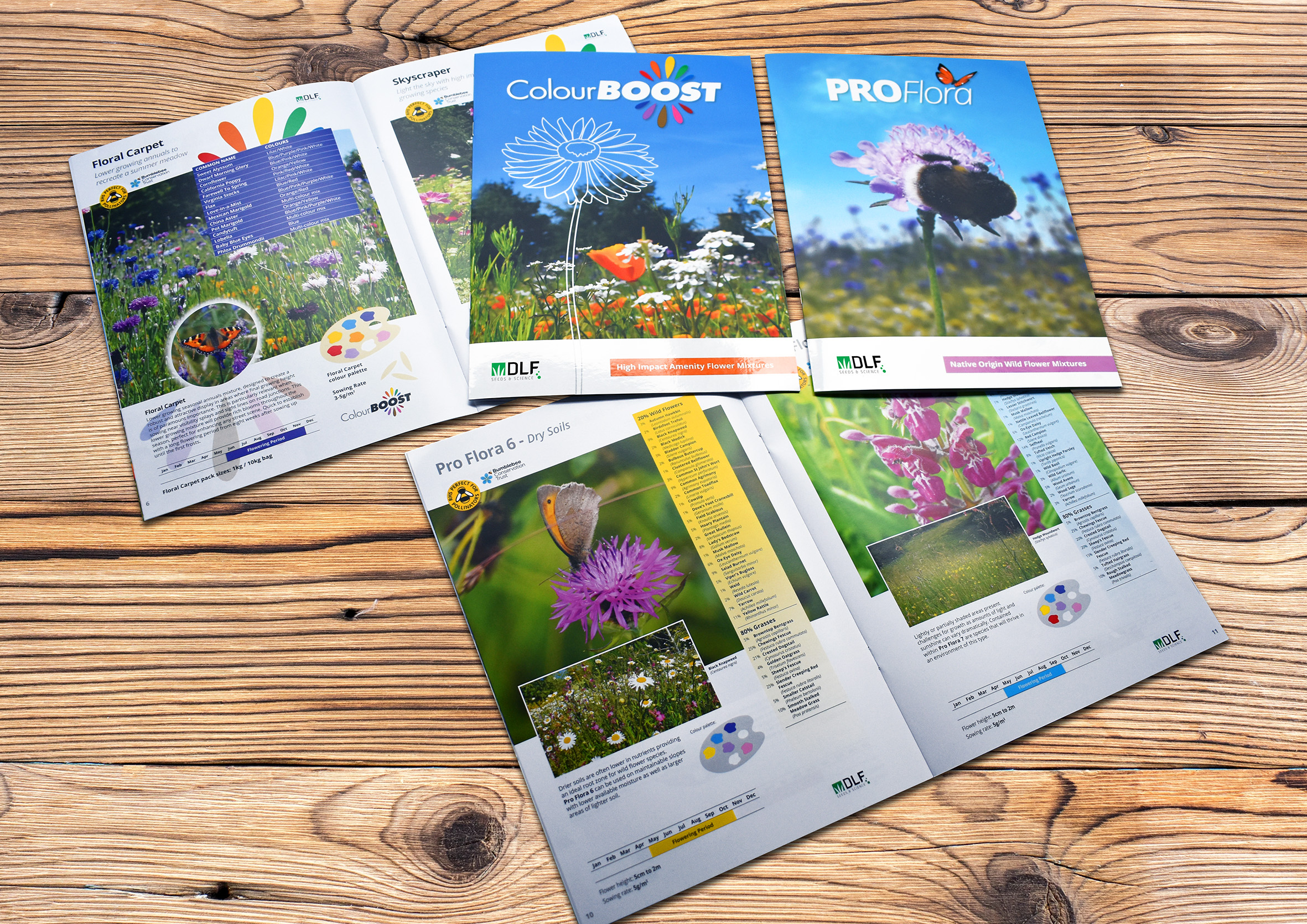 New Pro Flora and Colour Boost Catalogues – packed with new wild flower mixtures!