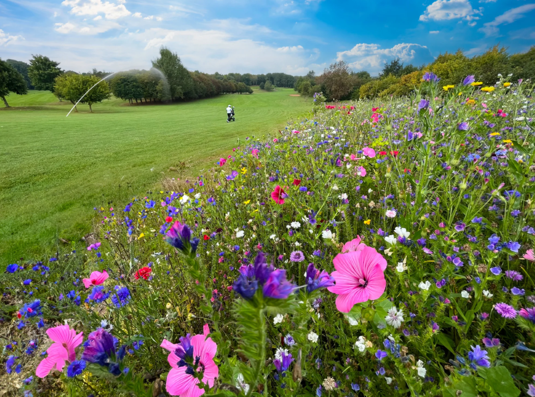 BTME preview: DLF
