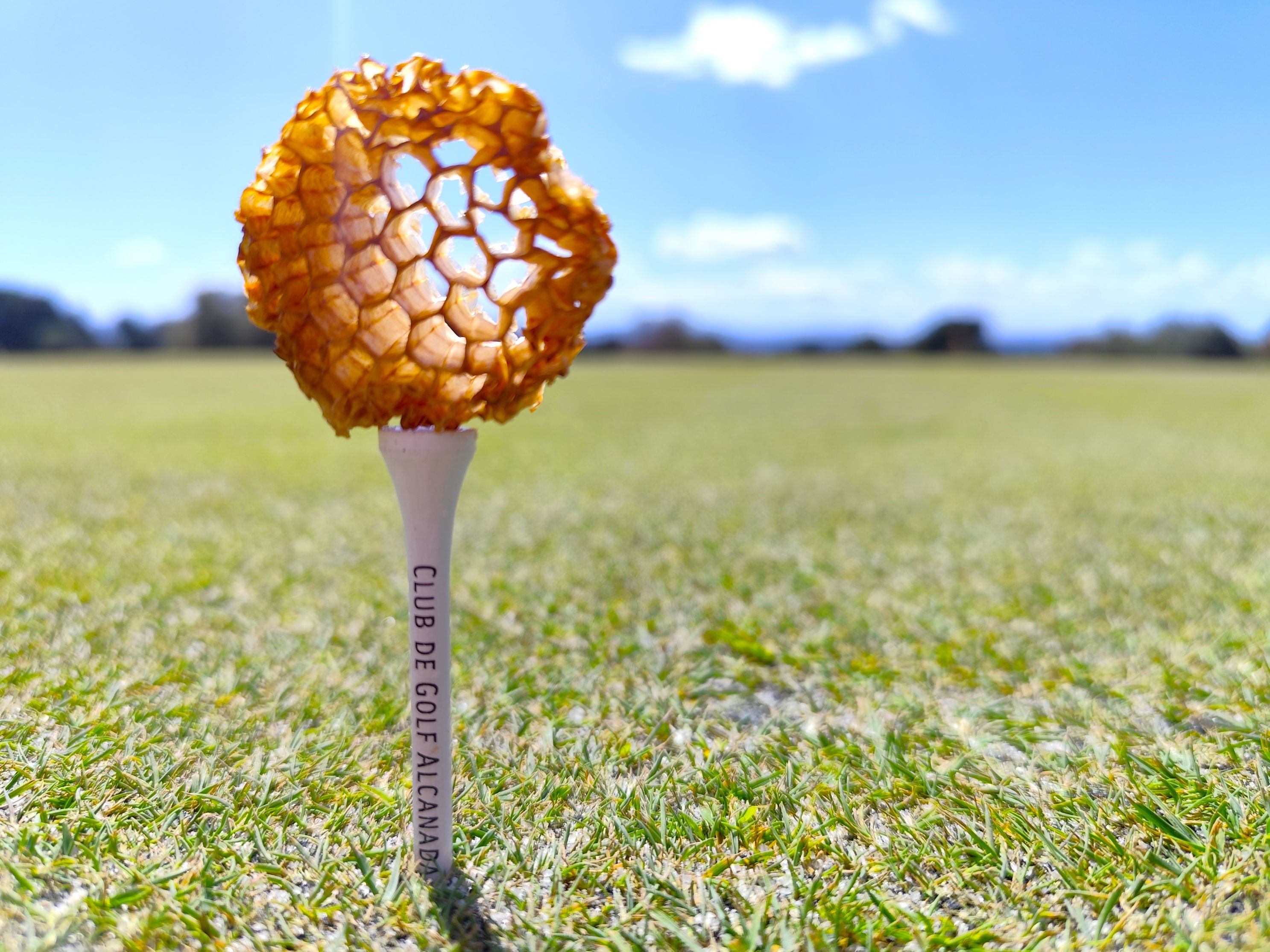 Club de Golf Alcanada celebrates five years of beekeeping