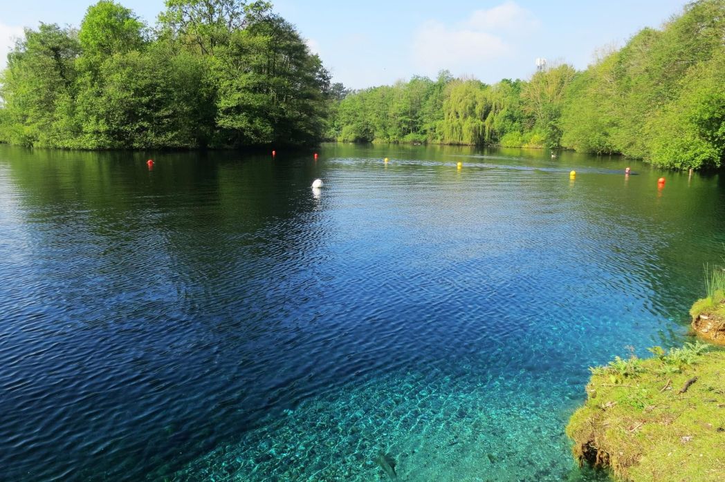 Best blue pond dye UK: Pro Blue+ – 1L treats 5 million litres, lasts all summer, non-hazardous