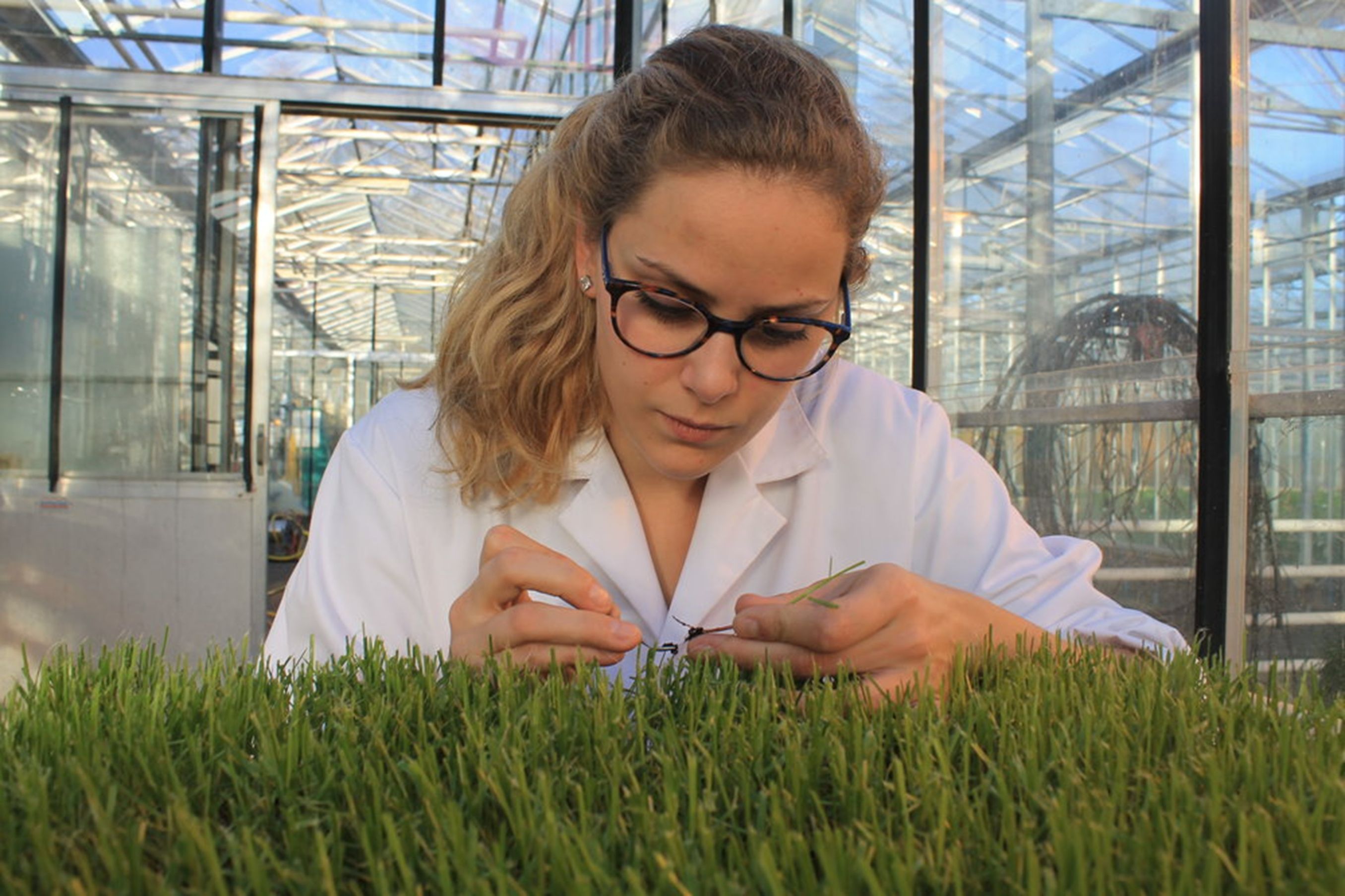 Future-proofing turf: How DSV Eurograss is breeding resilience for the new normal