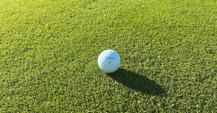 007XL: A landmark moment for creeping bentgrass in UK golf greens