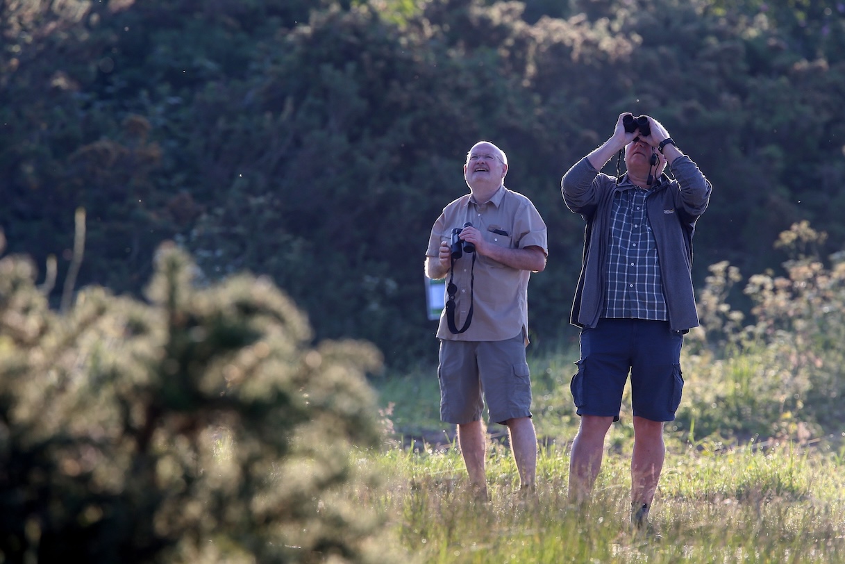 R&A launches BioBlitz toolkit to help golf clubs track and celebrate course wildlife