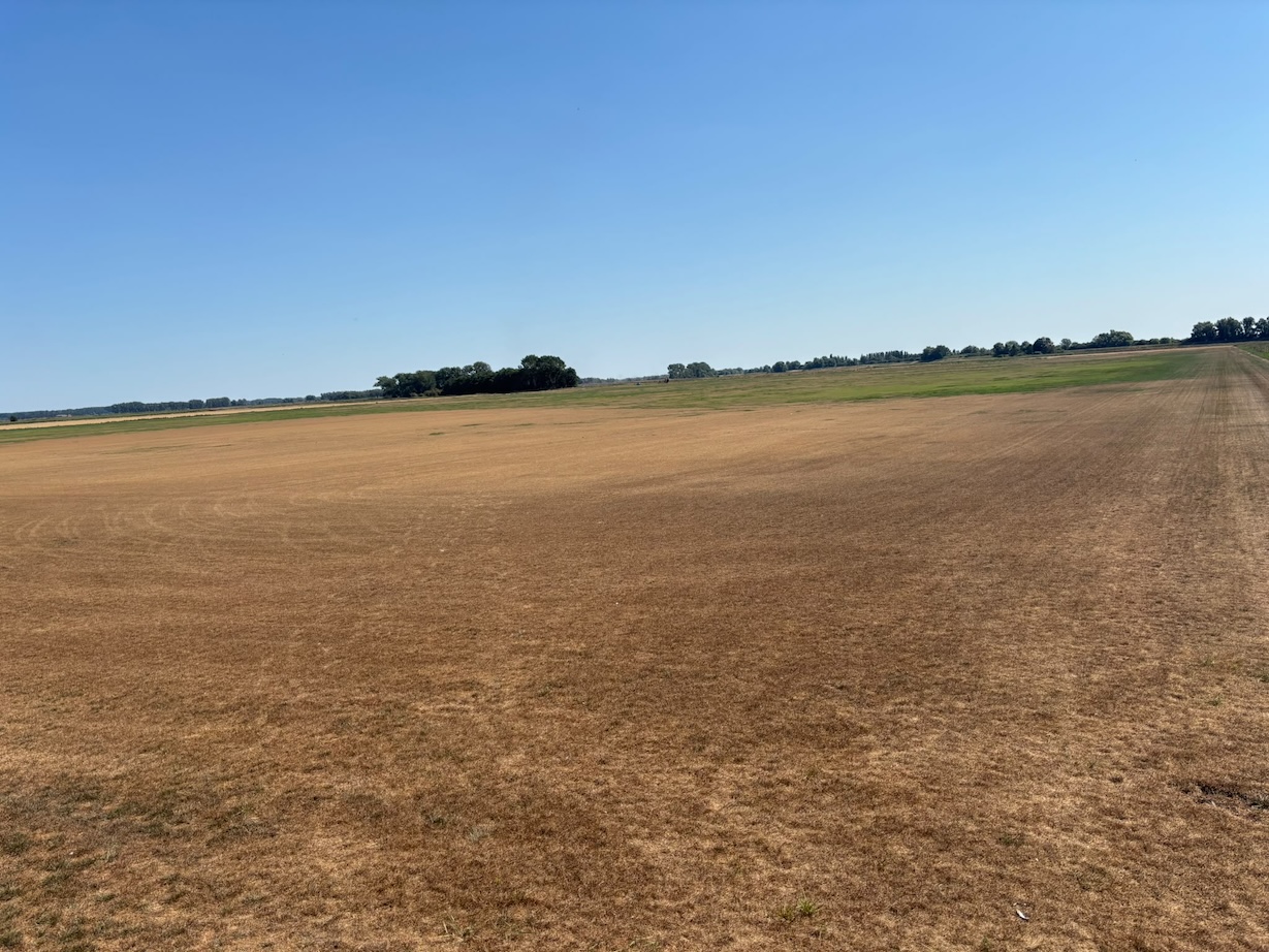 Turf supply under threat as drought drives irrigation costs up 40 percent