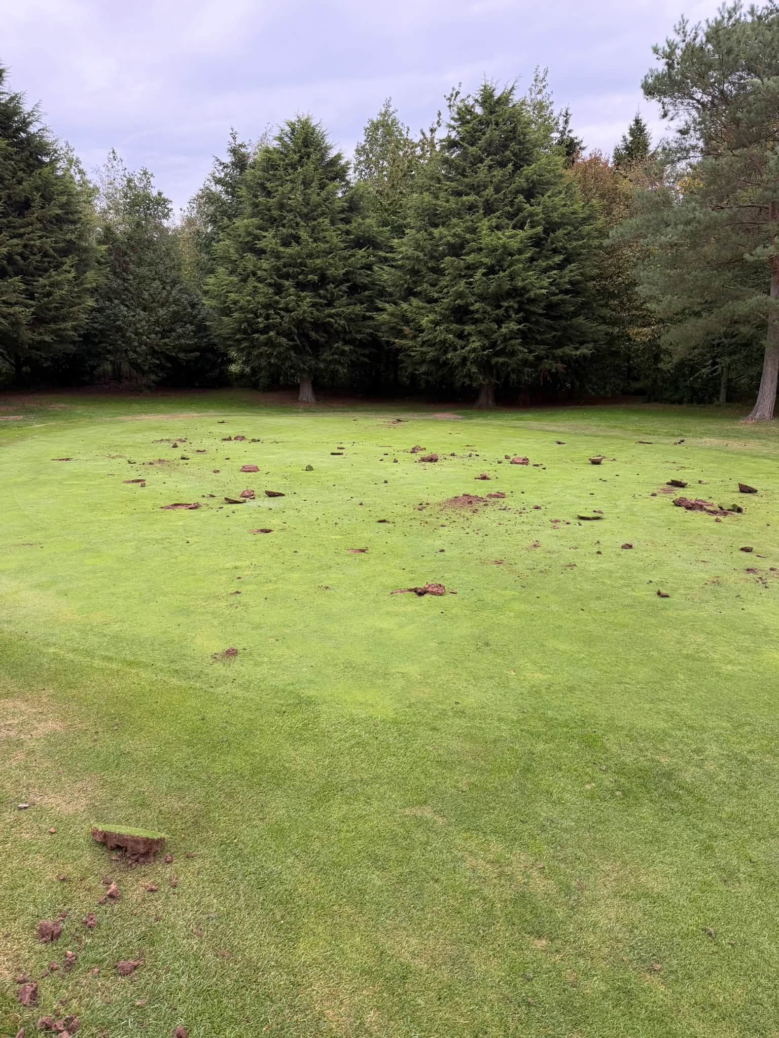 Golf club offers £1,000 reward after vandals dig up seven greens